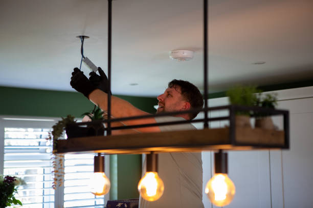 Best Electric Panel Repair  in Round Lake Park, IL